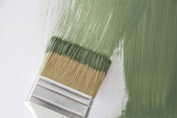 Mold Odor Removal Services in Metropolis, IL