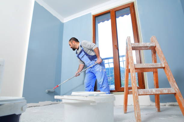 Best Black Mold Removal  in Metropolis, IL