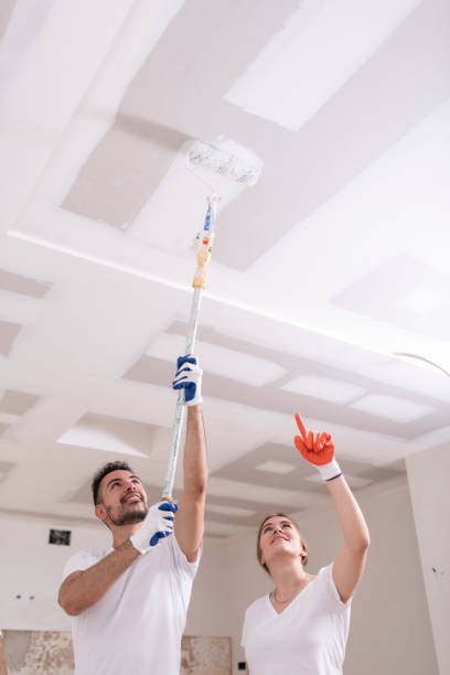 Best Mold Prevention Services  in Metropolis, IL
