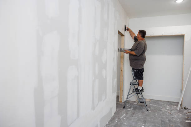 Best Mold-Related Health Consultation  in Metropolis, IL