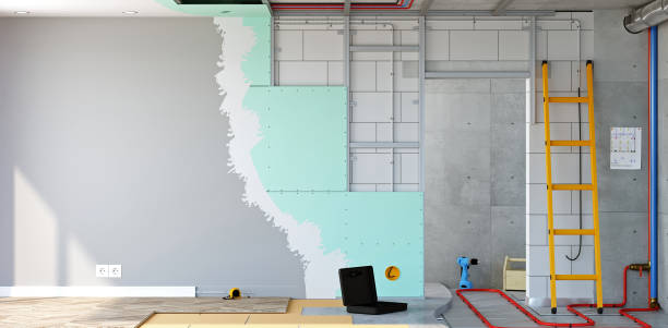 Best Air Quality Testing for Mold Spores  in Metropolis, IL