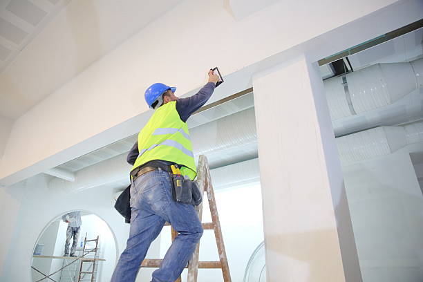 Best Commercial Mold Inspection  in Metropolis, IL