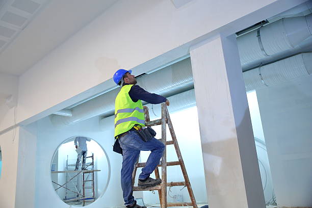 Best Comprehensive Air Testing for Mold Contaminants  in Metropolis, IL