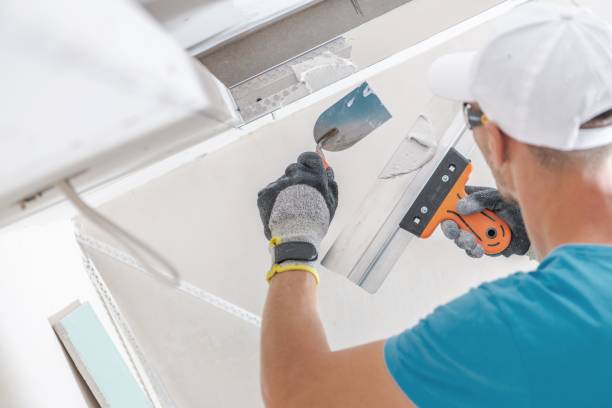 Best Mold Remediation for Healthcare Facilities  in Metropolis, IL